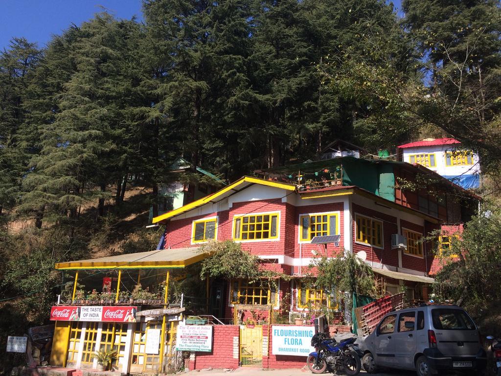 Mcleodganj Bed & Breakfast McLeod Ganj Extérieur photo